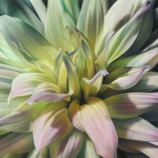 Схема вышивки «№1215686»