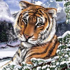 Схема вышивки «тигр»