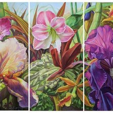 Схема вышивки «№1216094»