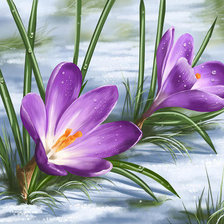 Схема вышивки «Серия "Флора"»