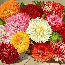 Схема вышивки «Серия "Флора"»