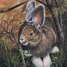 Схема вышивки «заяц»