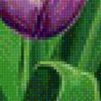 Предпросмотр схемы вышивки «букет тюльпанов» (№1216500)