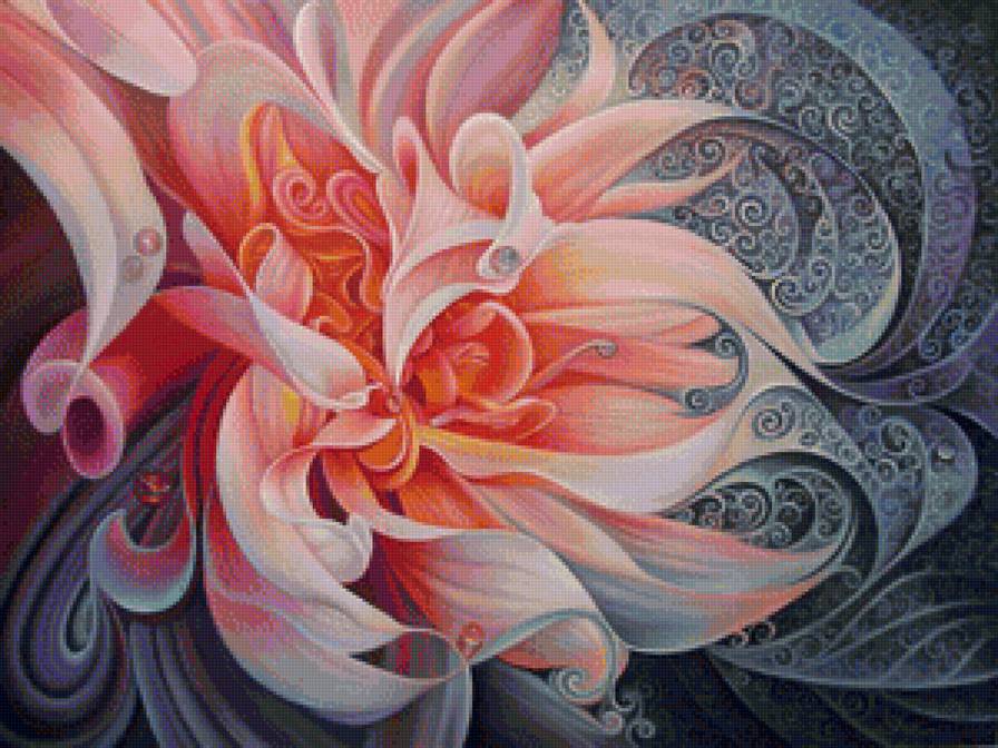 хризантема - предпросмотр