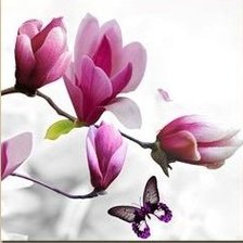 Схема вышивки «орхидеи триптих2»