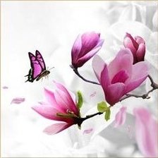 Схема вышивки «орхидеи триптих3»