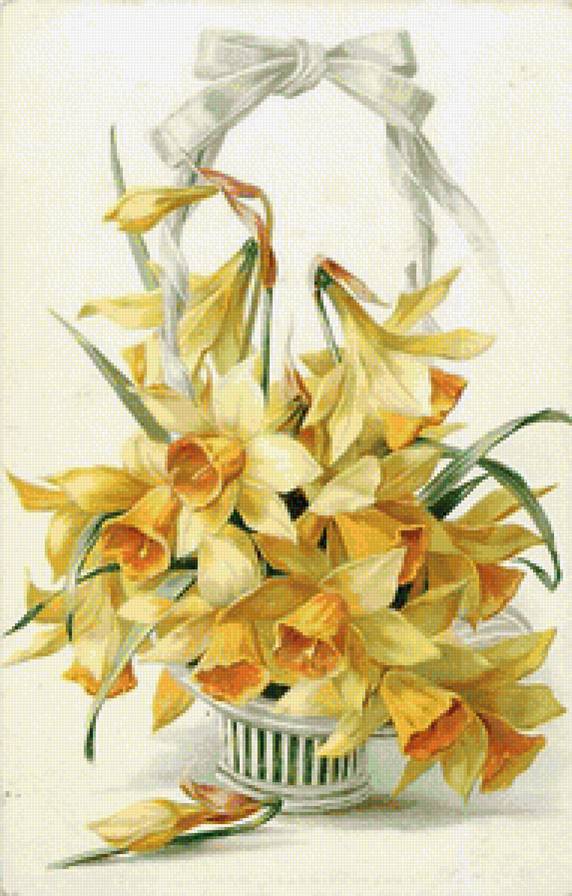 нарциссы - цветы, нарциссы, букет - предпросмотр