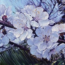 Яблони в цвету