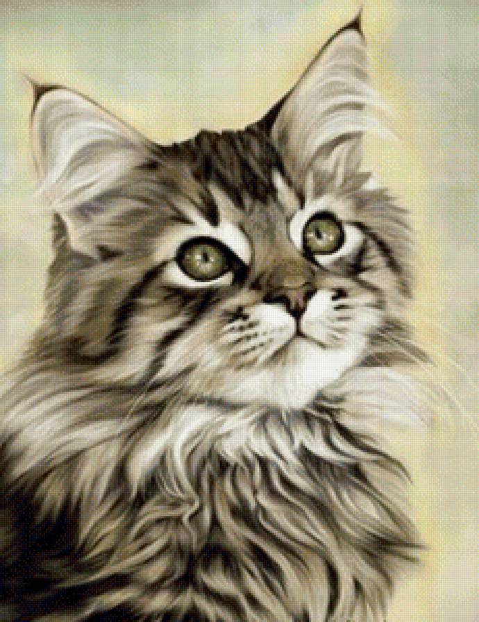 котик - котенок, котята, коты, кот - предпросмотр