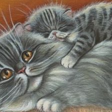 Схема вышивки «сладкий сон»