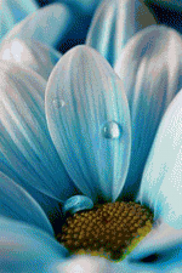 Пробуждение - роса, цветы, ромашка - предпросмотр