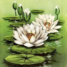 Схема вышивки «Водяные лилии»