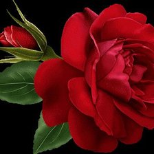 Схема вышивки «цветок»