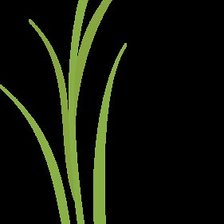 Схема вышивки «цветок»