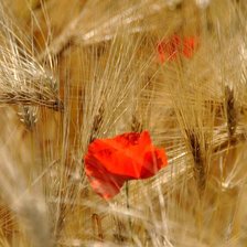 Схема вышивки «цветок»