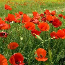 Схема вышивки «цветок»