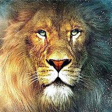 Схема вышивки «№1218159»