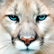 Схема вышивки «взгляд»