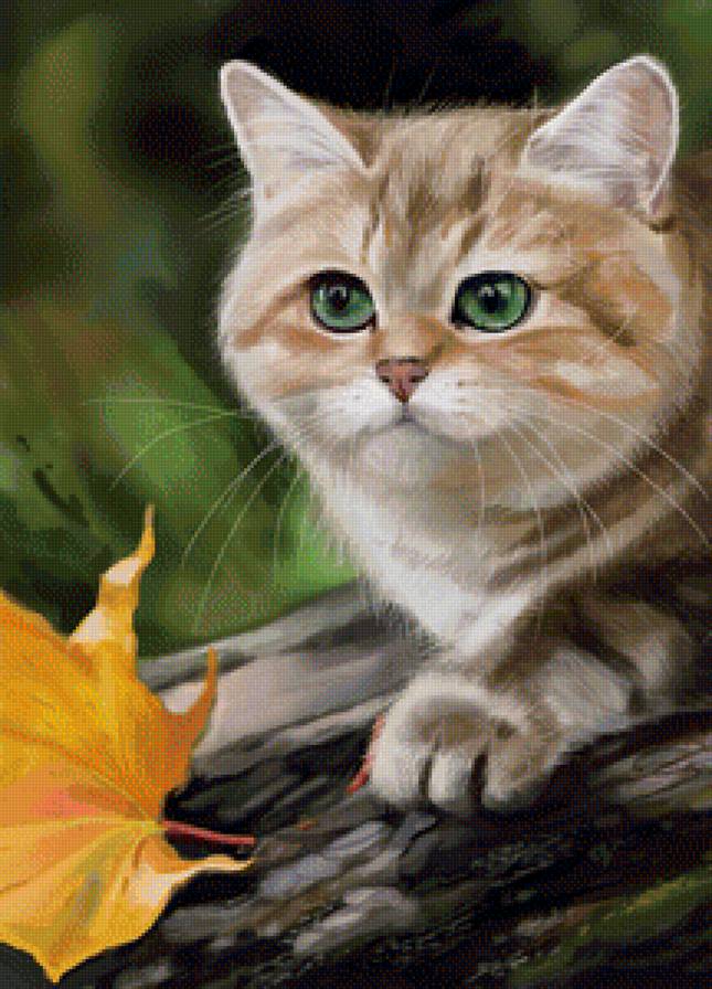 Котик - животные, кот, коты - предпросмотр