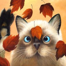 Схема вышивки «Котик»