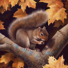 Схема вышивки «Белочка»