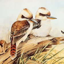 Схема вышивки «№1219239»