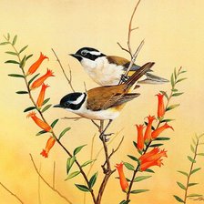 Схема вышивки «№1219282»