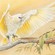 Схема вышивки «№1219286»