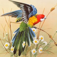 Схема вышивки «№1219290»