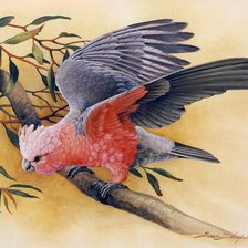 Схема вышивки «№1219291»