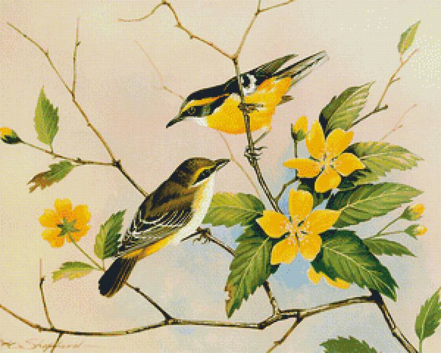 №1219304 - птицы - предпросмотр