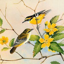 Схема вышивки «№1219304»