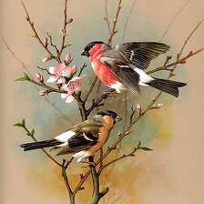 Схема вышивки «№1219310»