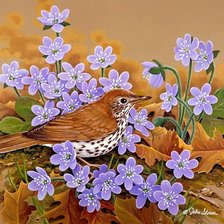 Схема вышивки «№1219322»