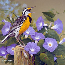 Схема вышивки «№1219337»