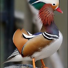 Схема вышивки «№1219347»