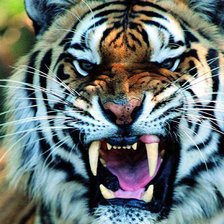 Схема вышивки «№1219379»