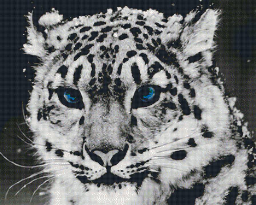 №1219385 - барс - предпросмотр