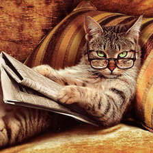 Схема вышивки «Кошка с газетой»