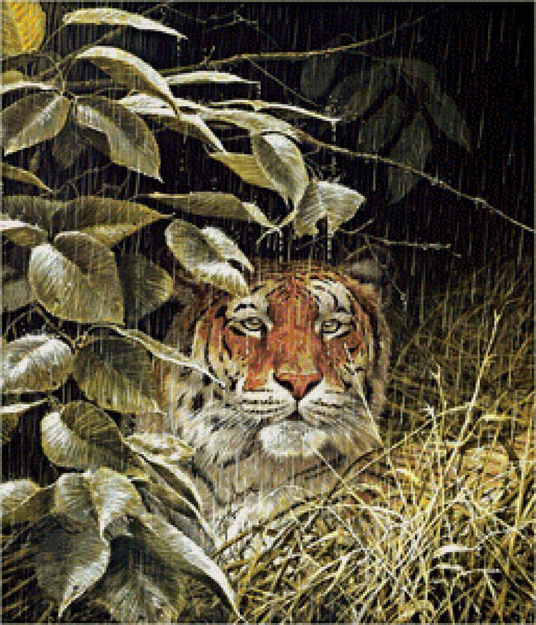 Дикие животные - тигр - предпросмотр