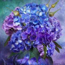 Схема вышивки «№1219544»