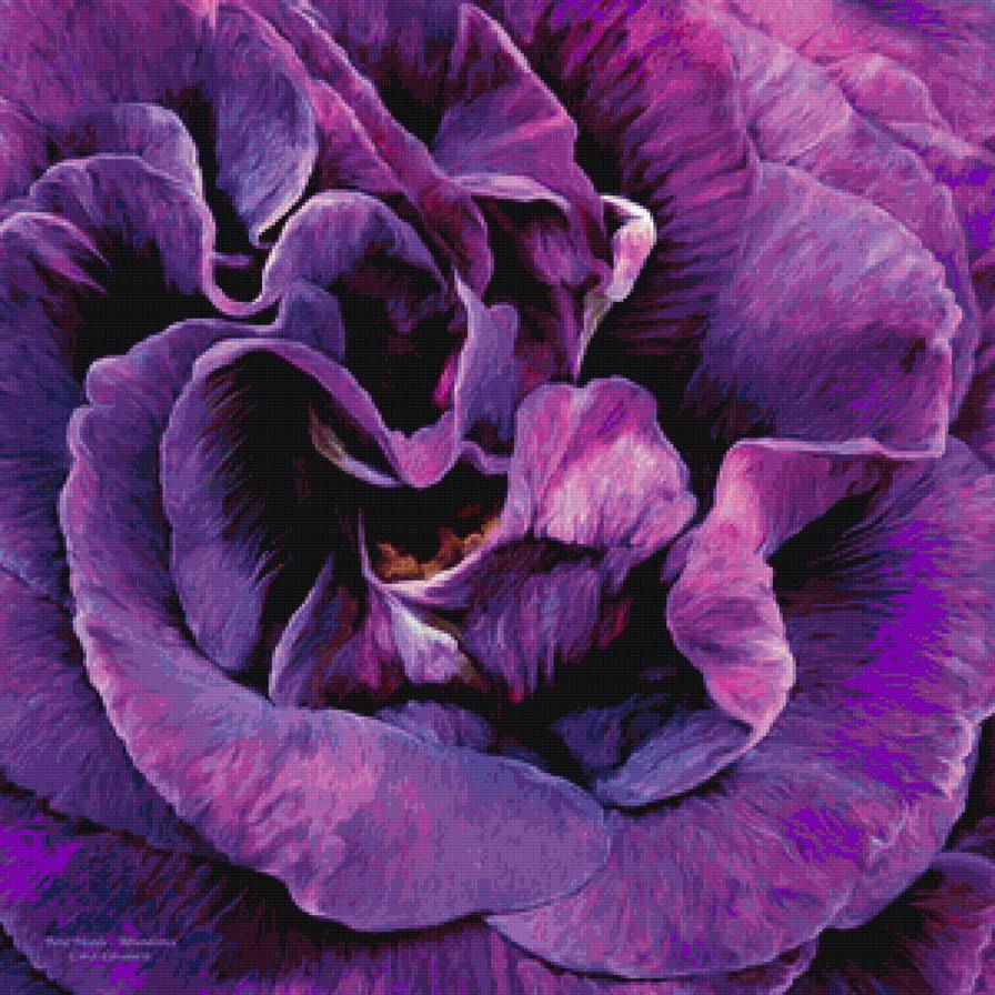 №1219557 - предпросмотр