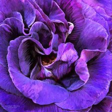 Схема вышивки «№1219557»