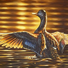 Схема вышивки «Уточка»