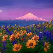 Схема вышивки «полевые цветы у подножия гор»