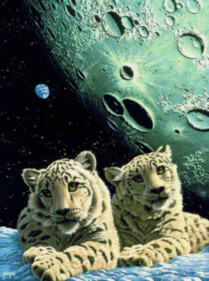 На краю Вселенной - предпросмотр