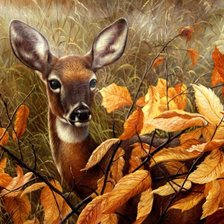 Схема вышивки «В лесу»