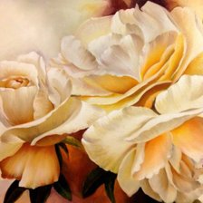 Схема вышивки «Белые розы»