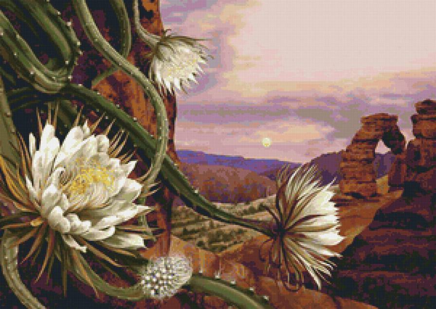 Кактусы - пейзаж, природа, цветы, кактус - предпросмотр