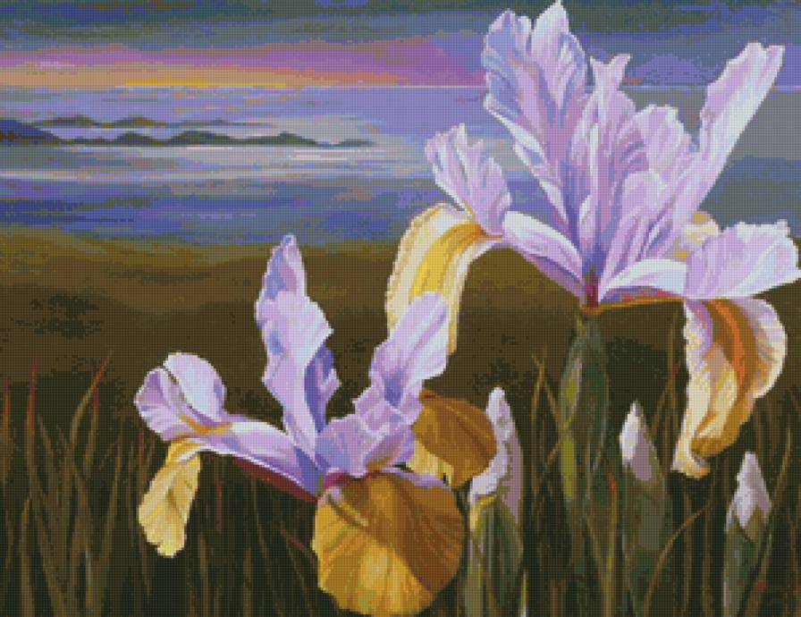 ирисы - пейзаж, цветы, ирисы - предпросмотр